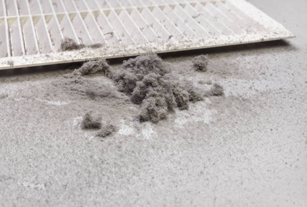 Best Emergency Air Duct Cleaning  in Homewood, IL