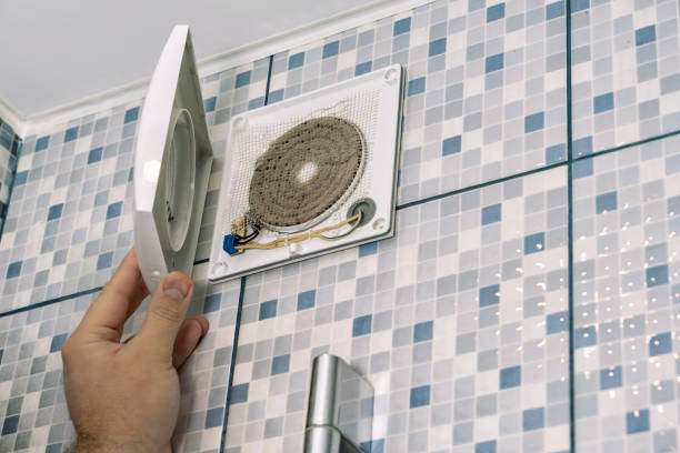 Best Air Duct Mold Removal  in Homewood, IL